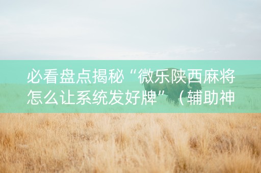 必看盘点揭秘“微乐陕西麻将怎么让系统发好牌”（辅助神器免费)