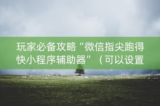 玩家必备攻略“微信指尖跑得快小程序辅助器”（可以设置输赢吗)