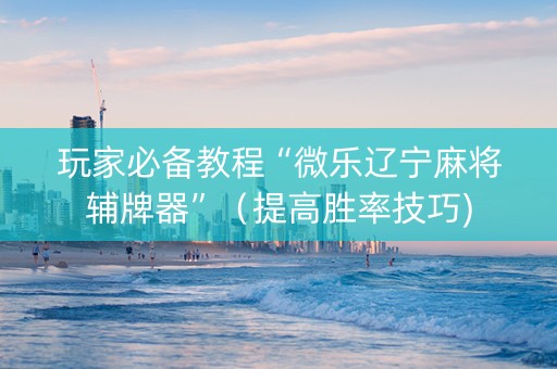 玩家必备教程“微乐辽宁麻将辅牌器”（提高胜率技巧)