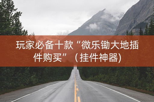 玩家必备十款“微乐锄大地插件购买”（挂件神器)