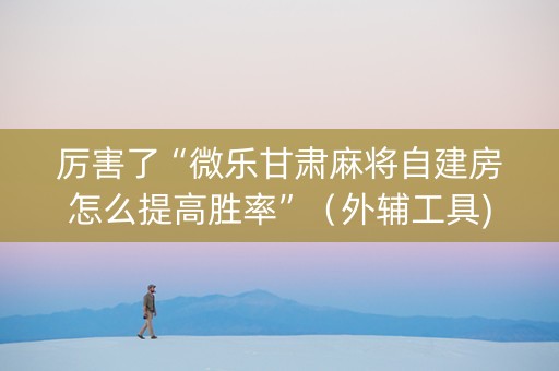 厉害了“微乐甘肃麻将自建房怎么提高胜率”（外辅工具)
