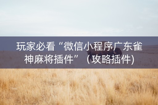 玩家必看“微信小程序广东雀神麻将插件”（攻略插件)