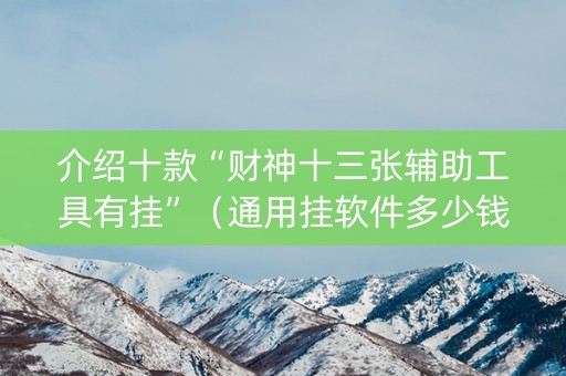 介绍十款“财神十三张辅助工具有挂”（通用挂软件多少钱)