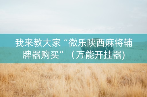 我来教大家“微乐陕西麻将辅牌器购买”（万能开挂器)