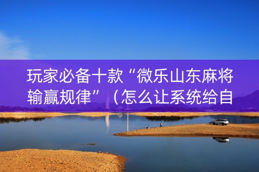 玩家必备十款“微乐山东麻将输赢规律”（怎么让系统给自己好牌)