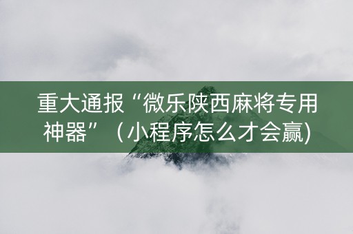 重大通报“微乐陕西麻将专用神器”（小程序怎么才会赢)