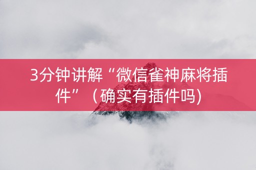 3分钟讲解“微信雀神麻将插件”（确实有插件吗)