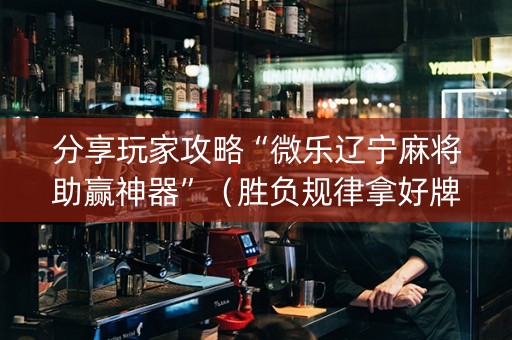 分享玩家攻略“微乐辽宁麻将助赢神器”（胜负规律拿好牌)