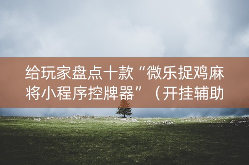 给玩家盘点十款“微乐捉鸡麻将小程序控牌器”（开挂辅助脚本)