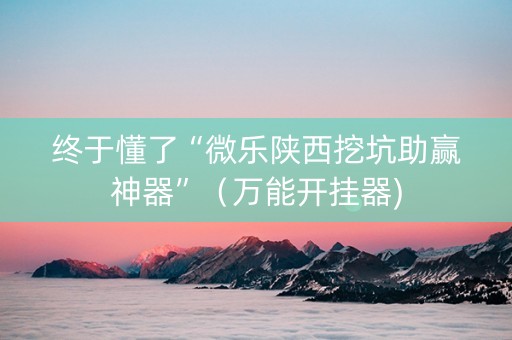 终于懂了“微乐陕西挖坑助赢神器”（万能开挂器)