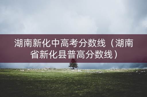 湖南新化中高考分数线（湖南省新化县普高分数线）