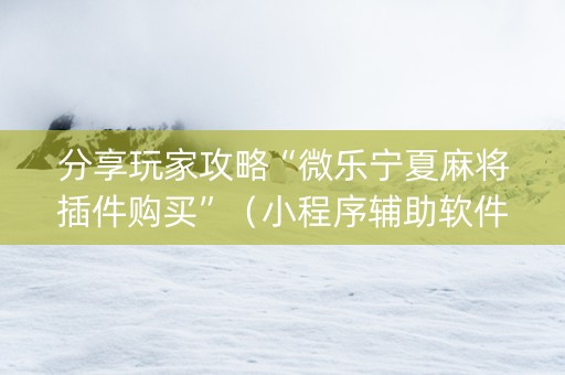 分享玩家攻略“微乐宁夏麻将插件购买”（小程序辅助软件)