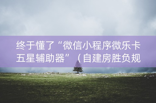 终于懂了“微信小程序微乐卡五星辅助器”（自建房胜负规律)