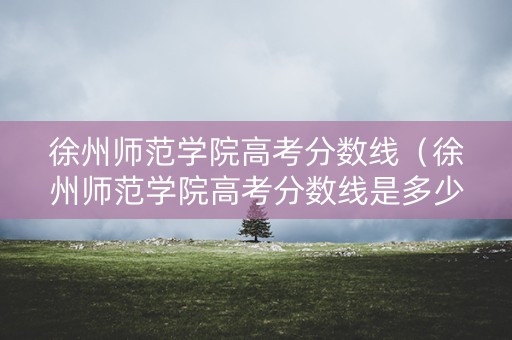 徐州师范学院高考分数线（徐州师范学院高考分数线是多少）