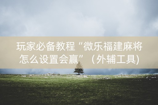 玩家必备教程“微乐福建麻将怎么设置会赢”（外辅工具)