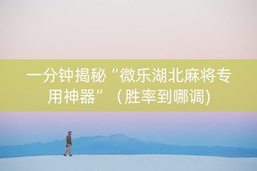 一分钟揭秘“微乐湖北麻将专用神器”（胜率到哪调)