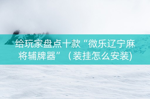 给玩家盘点十款“微乐辽宁麻将辅牌器”（装挂怎么安装)