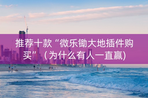 推荐十款“微乐锄大地插件购买”（为什么有人一直赢)