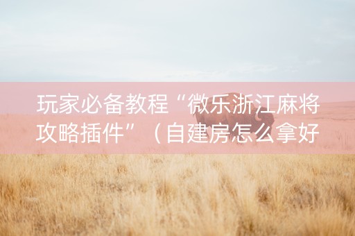 玩家必备教程“微乐浙江麻将攻略插件”（自建房怎么拿好牌)
