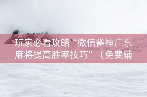 玩家必看攻略“微信雀神广东麻将提高胜率技巧”（免费辅助)