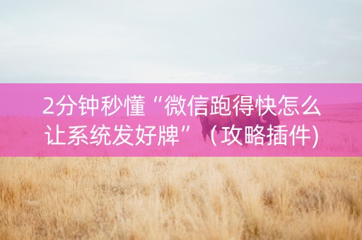 2分钟秒懂“微信跑得快怎么让系统发好牌”（攻略插件)