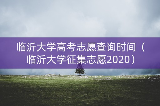 临沂大学高考志愿查询时间（临沂大学征集志愿2020）