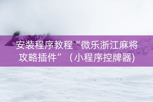 安装程序教程“微乐浙江麻将攻略插件”（小程序控牌器)