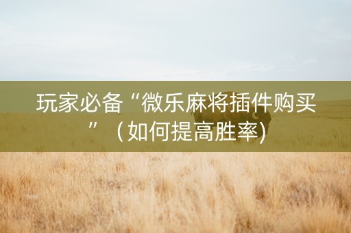 玩家必备“微乐麻将插件购买”（如何提高胜率)