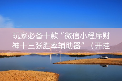 玩家必备十款“微信小程序财神十三张胜率辅助器”（开挂神器下载)