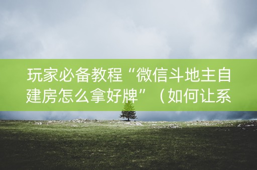玩家必备教程“微信斗地主自建房怎么拿好牌”（如何让系统发好牌)