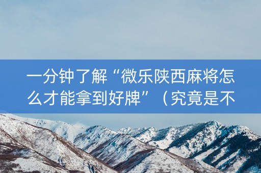 一分钟了解“微乐陕西麻将怎么才能拿到好牌”（究竟是不是有挂)
