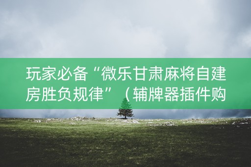 玩家必备“微乐甘肃麻将自建房胜负规律”（辅牌器插件购买)