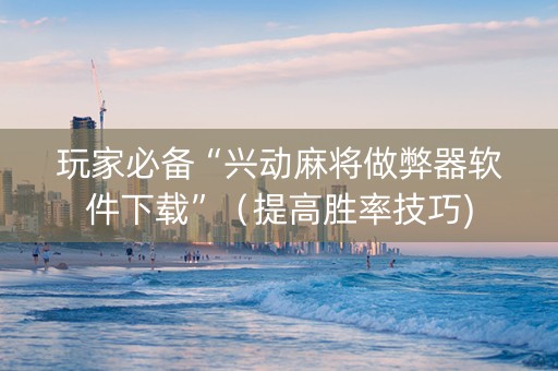 玩家必备“兴动麻将做弊器软件下载”（提高胜率技巧)