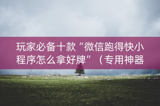 玩家必备十款“微信跑得快小程序怎么拿好牌”（专用神器下载)