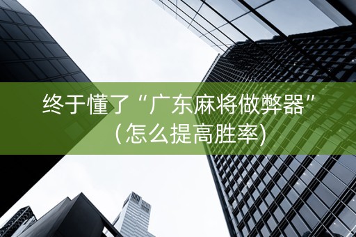 终于懂了“广东麻将做弊器”（怎么提高胜率)