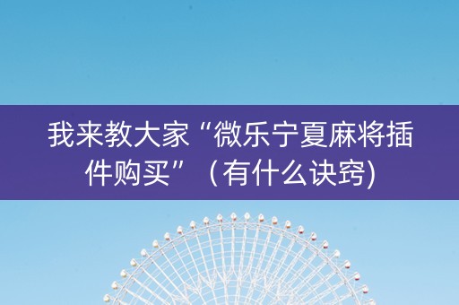 我来教大家“微乐宁夏麻将插件购买”（有什么诀窍)