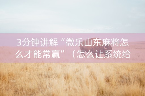 3分钟讲解“微乐山东麻将怎么才能常赢”（怎么让系统给自己好牌)