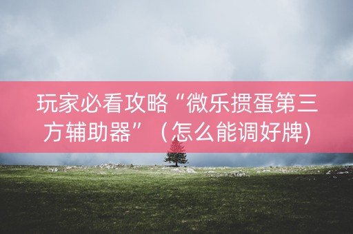 玩家必看攻略“微乐掼蛋第三方辅助器”（怎么能调好牌)