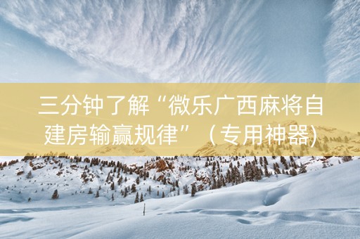三分钟了解“微乐广西麻将自建房输赢规律”（专用神器)