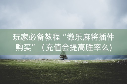 玩家必备教程“微乐麻将插件购买”（充值会提高胜率么)