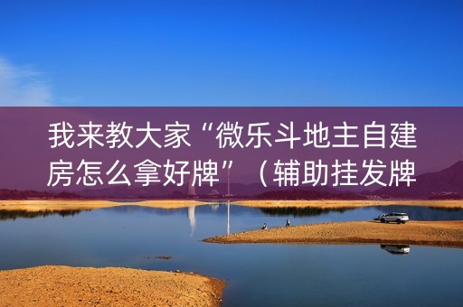 我来教大家“微乐斗地主自建房怎么拿好牌”（辅助挂发牌规律)