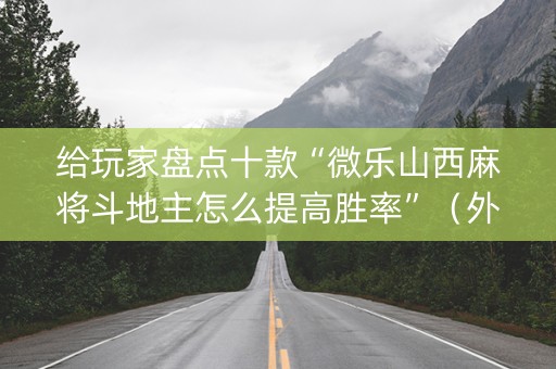 给玩家盘点十款“微乐山西麻将斗地主怎么提高胜率”（外辅工具)