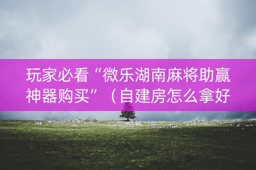 玩家必看“微乐湖南麻将助赢神器购买”（自建房怎么拿好牌)