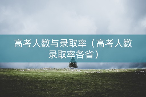 高考人数与录取率（高考人数录取率各省）