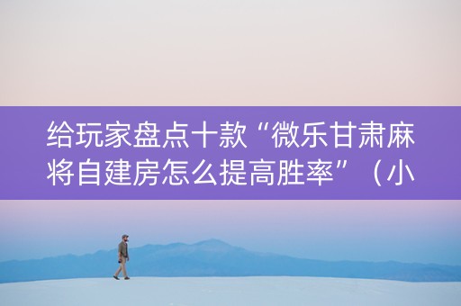 给玩家盘点十款“微乐甘肃麻将自建房怎么提高胜率”（小程序辅助软件)