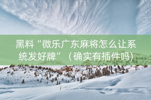 黑料“微乐广东麻将怎么让系统发好牌”（确实有插件吗)