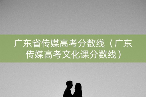 广东省传媒高考分数线（广东传媒高考文化课分数线）
