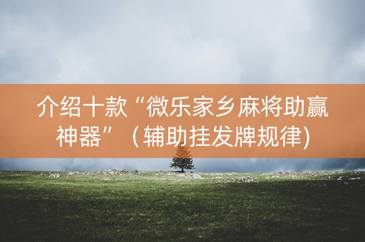 介绍十款“微乐家乡麻将助赢神器”（辅助挂发牌规律)