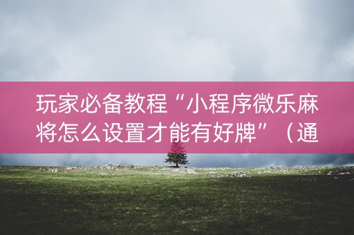 玩家必备教程“小程序微乐麻将怎么设置才能有好牌”（通用挂软件多少钱)