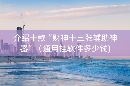 介绍十款“财神十三张辅助神器”（通用挂软件多少钱)